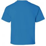 zer_0000s_0003_Gildan_2000B_Sapphire_Back_High.jpg