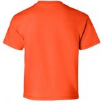 zer_0000s_0012_Gildan_2000B_Orange_Back_High.jpg