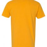 zer_0000s_0019_Next_Level_3600_Gold_Back_High.jpg