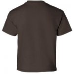 zer_0000s_0027_Gildan_2000B_Dark_Chocolate_Back_High.jpg