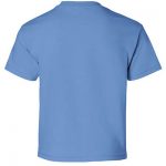 zer_0000s_0031_Gildan_2000B_Carolina_Blue_Back_High.jpg