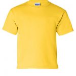 zer_0001s_0028_Gildan_2000B_Daisy_Front_High.jpg